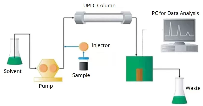 Flow diagram of Ultra-High-Performance Liquid Chromatography (UHPLC)